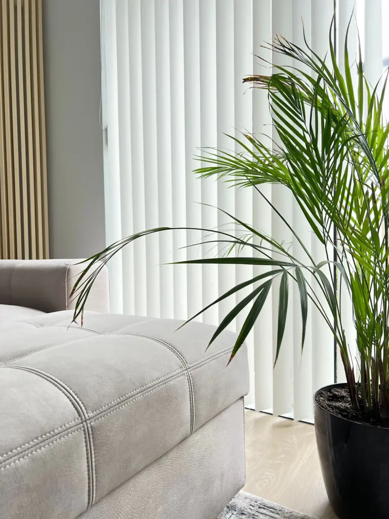 White vertical blinds behind a sofa